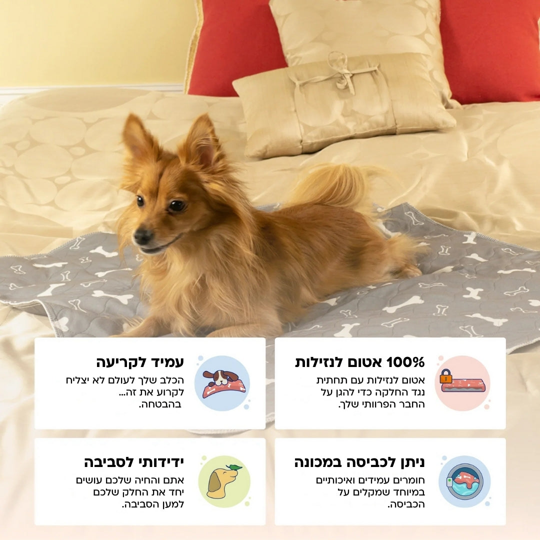 משטח פיפי רב פעמי +Pad