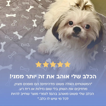 משטח פיפי רב פעמי +Pad